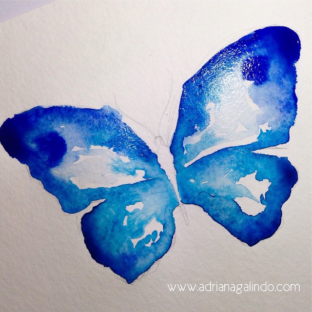 10689490_10205285956005887_3895040467630714877_n