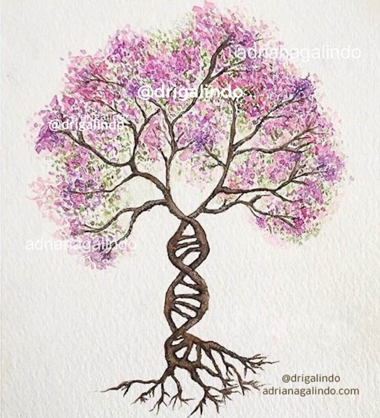 Arvore da vida - adriana galindo